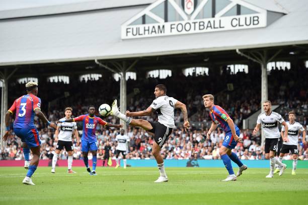 态得到显著 态得到显著